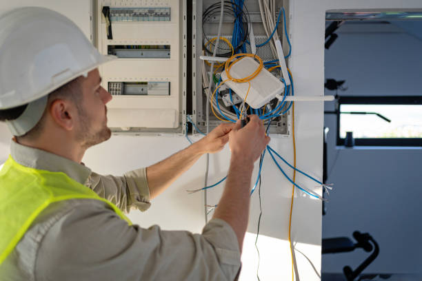 Best Electric Panel Repair  in Pagedale, MO